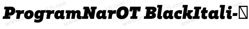 ProgramNarOT BlackItali字体转换